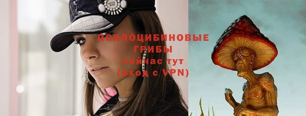 индика Наволоки
